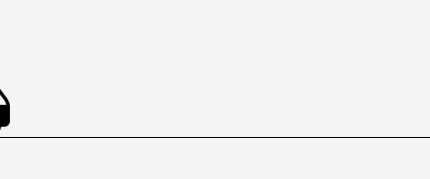 fast shipping